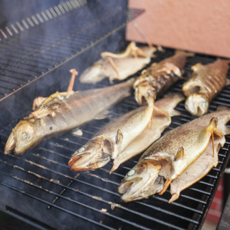 Houtsnippers voor roken en grillen (100% Kersen)